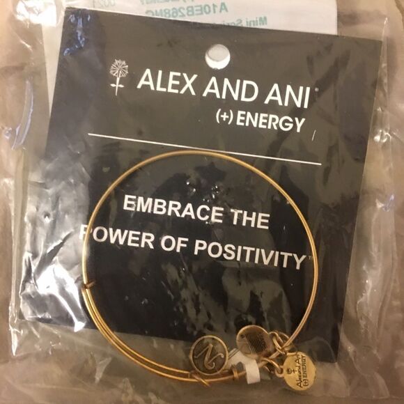 Alex and Ani Initial "N" Bracelet‎ New in package - Picture 1 of 1